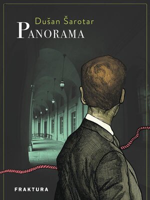 cover image of Panorama